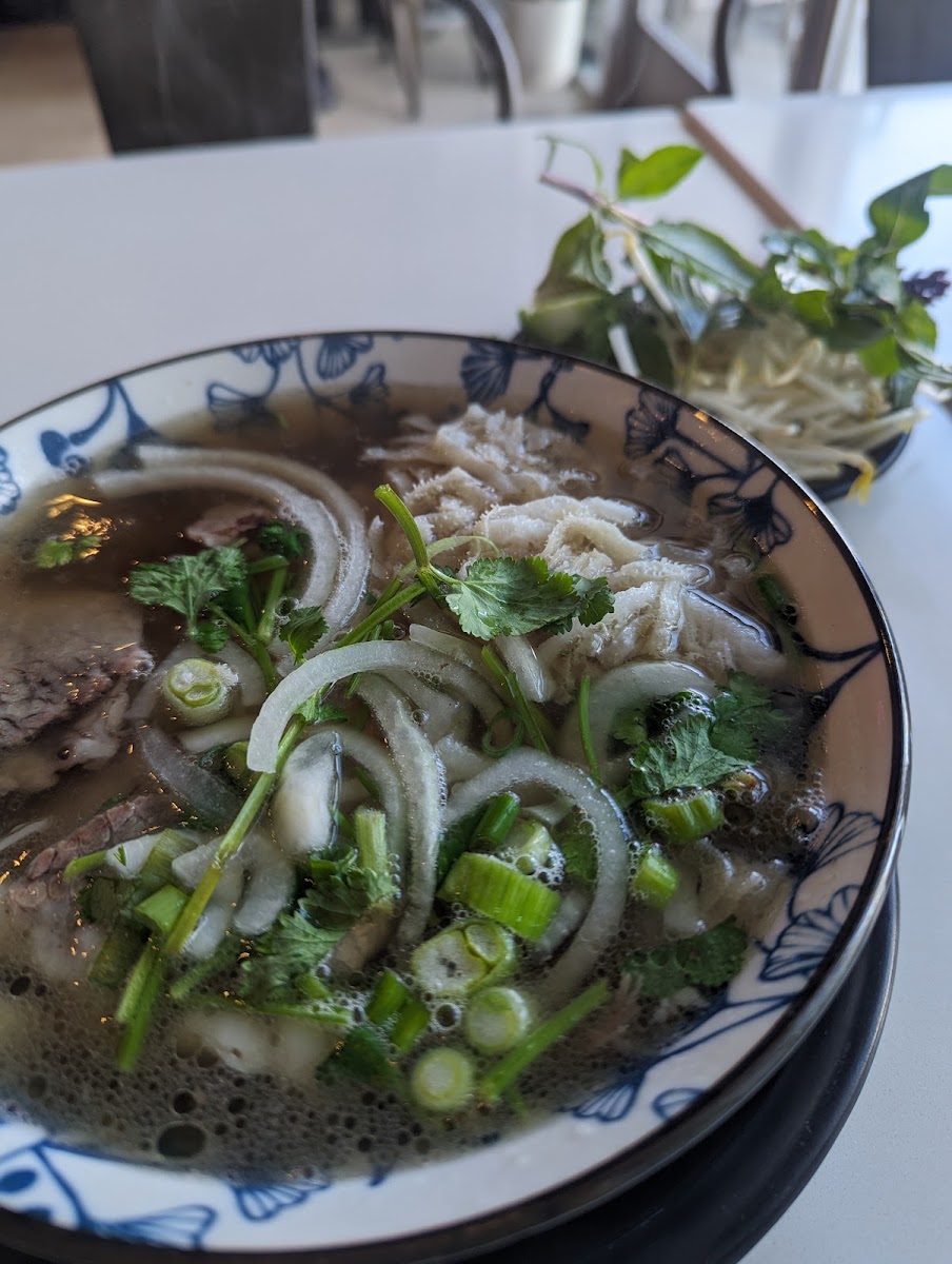 Culantro & Basil Pho Bistro Photo 5