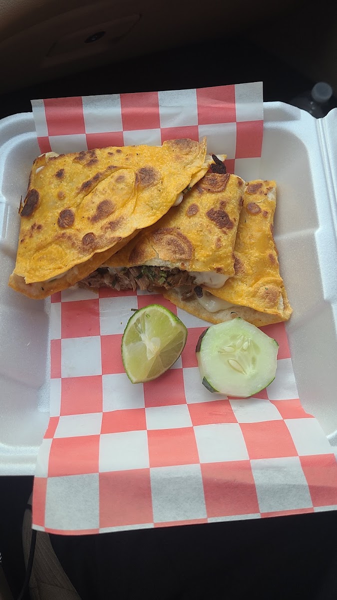 La Taqueria Del Pueblo Photo 8