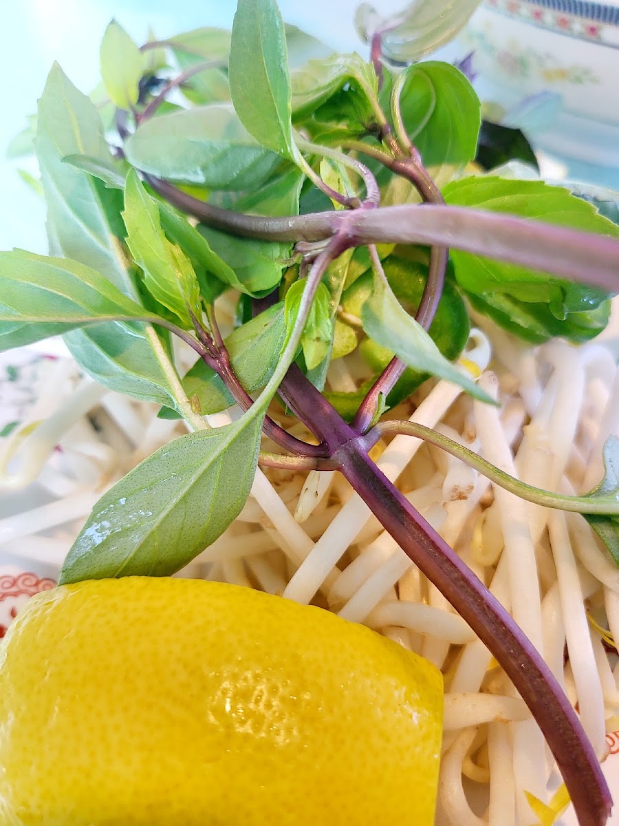 Phở Nam Photo 10