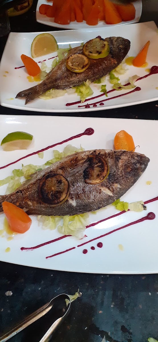Restaurant Le Majestic Photo 3