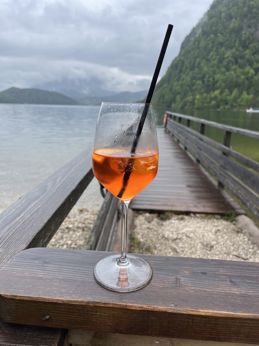 Seewiese Altaussee Photo 10
