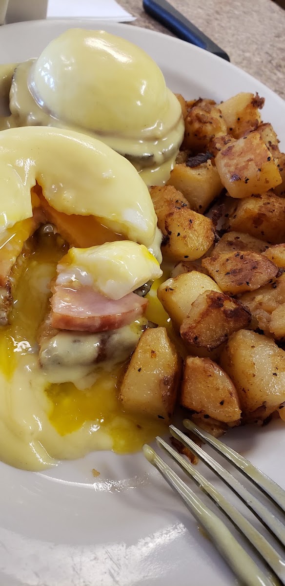 Sofia's Breakfast & Lunch Photo 5