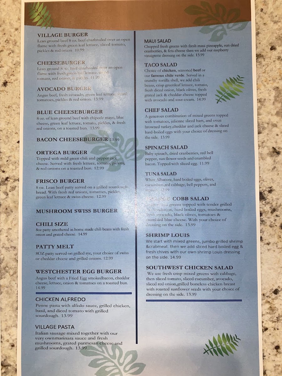 Village Grill MenuMenu Photo 6